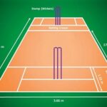 Cricket Pitch Length